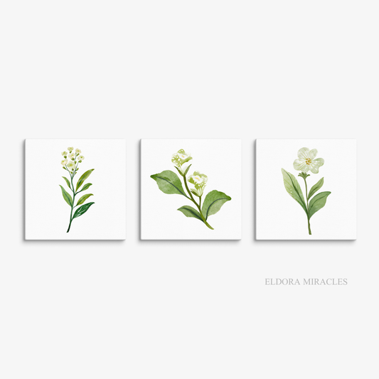 Dried White Flowers Square Canvas Set S1 S2 S3